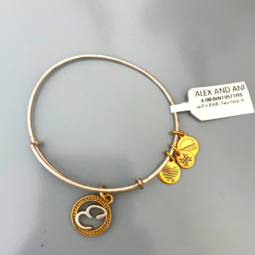 NWT Alex & Ani “E” charm bracelet
